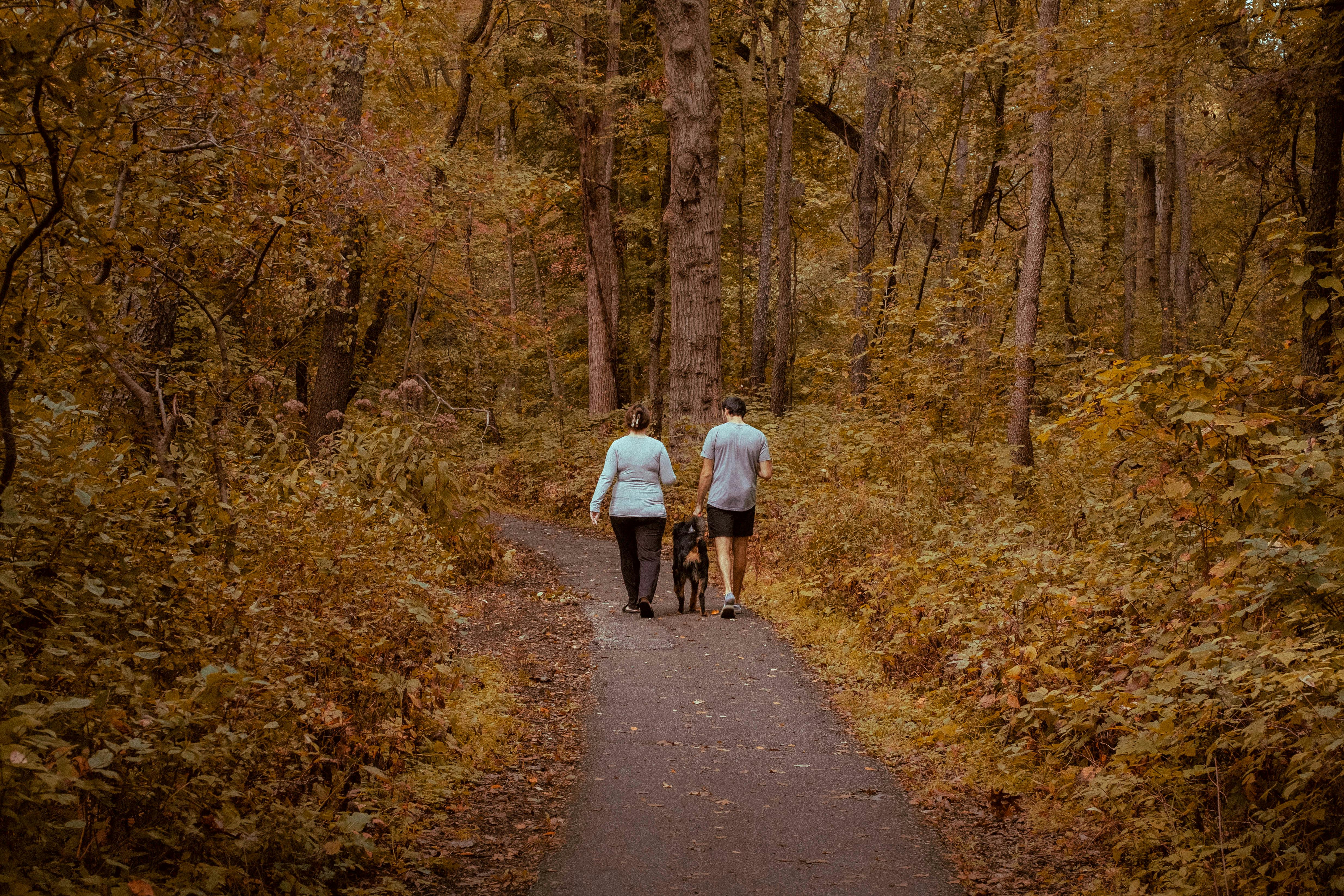 Nature Walks